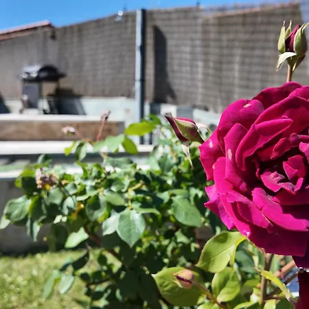 Villa Rural Casa Do Jose *